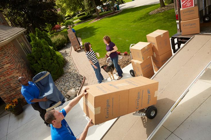 movers in arjan